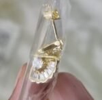 Gold Plated Studs - Image 2