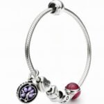 Pandora Bracelet - Image 2